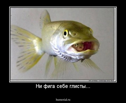 Ни фига себе глисты...
