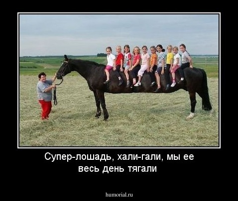 Супер-лошадь, хали-гали, мы ее весь день тягали