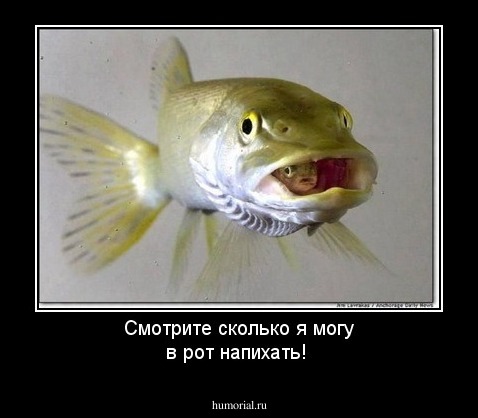 Смотрите сколько я могу в рот напихать!