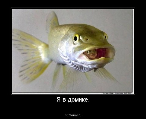 Я в домике.