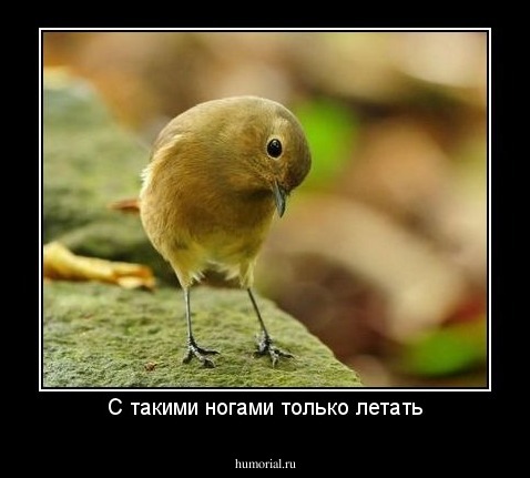 С такими ногами только летать