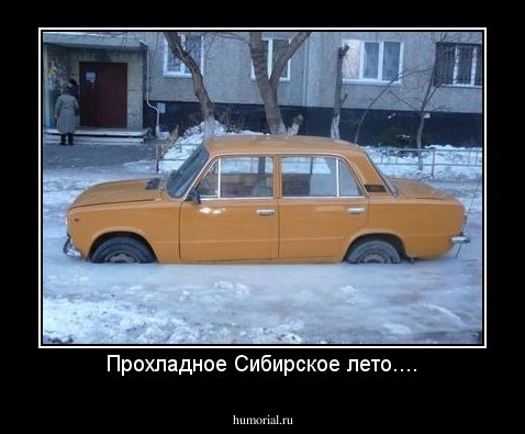 Прохладное Сибирское лето....