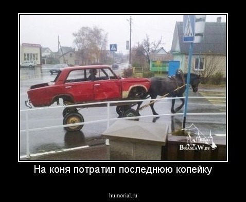 На коня потратил последнюю копейку