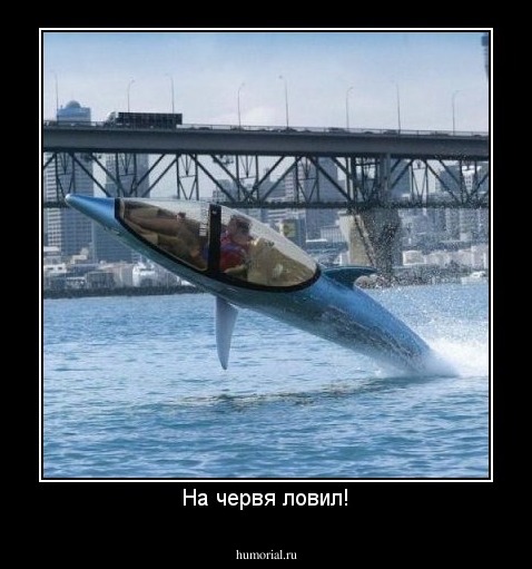 На червя ловил!