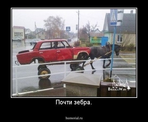 Почти зебра.