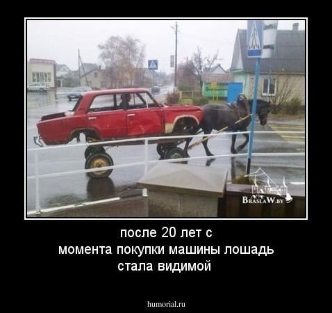 после 20 лет  с момента покупки машины лошадь стала видимой 