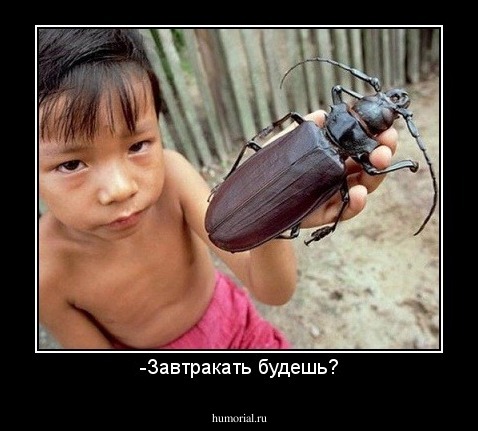 -Завтракать будешь?