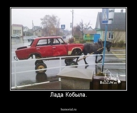 Лада Кобыла.