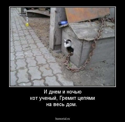 И днем и ночью кот ученый,  
Гремит цепями на весь дом.