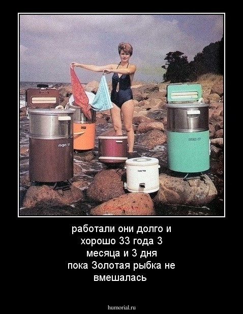 работали они долго и хорошо 33 года 3 месяца и 3 дня пока Золотая рыбка не вмешалась