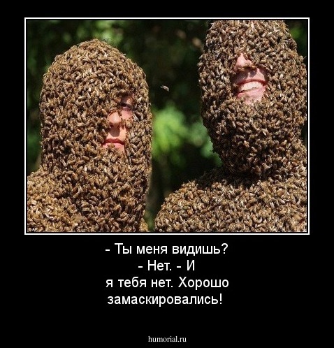 - Ты меня видишь? - Нет. - И я тебя нет. Хорошо замаскировались!