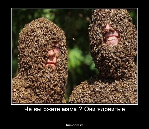 Че вы ржете мама ? Они ядовитые