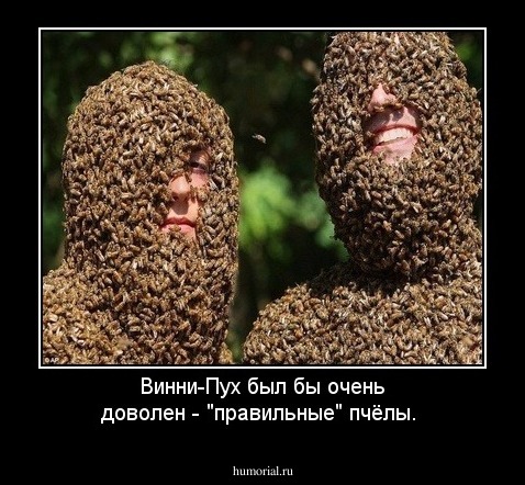 Винни-Пух был бы очень доволен - "правильные" пчёлы.