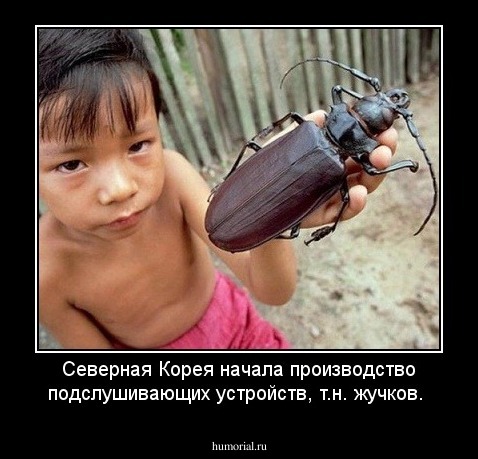 Северная Корея начала производство подслушивающих устройств, т.н. жучков.