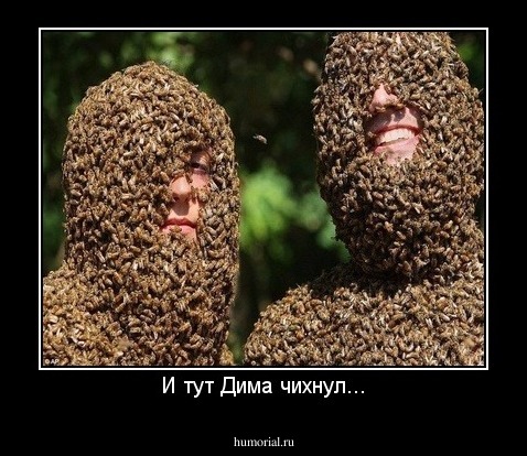 И тут Дима чихнул...
