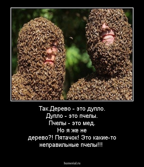 Так.Дерево - это дупло. Дупло - это пчелы. Пчелы - это мед. Но я же не дерево?! Пятачок! Это какие-то неправильные пчелы!!!