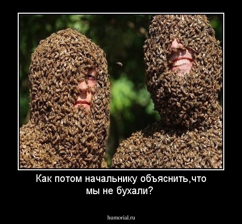 Как потом начальнику объяснить,что мы не бухали?