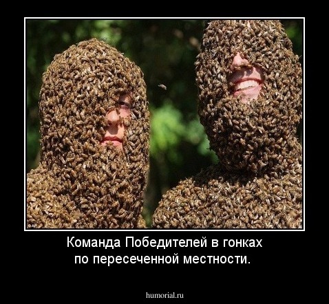 Команда Победителей в гонках по пересеченной местности.