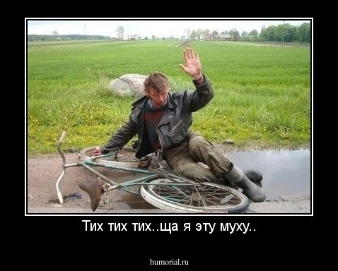 Тих тих тих..ща я эту муху..