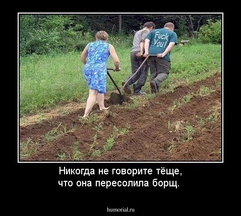 Никогда не говорите тёще, что она пересолила борщ.