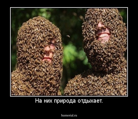 На них природа отдыхает.