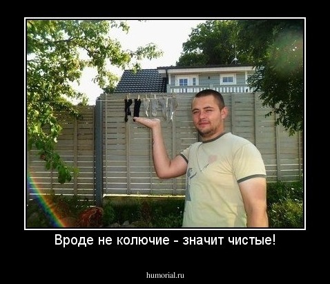Вроде не колючие - значит чистые!