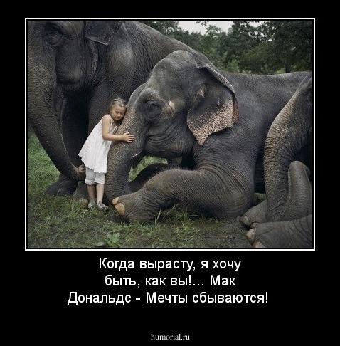 Когда вырасту, я хочу быть, как вы!...  Мак Дональдс - Мечты сбываются!