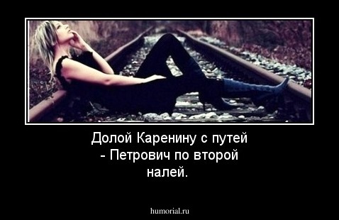 Долой Каренину с путей - Петрович по второй налей.