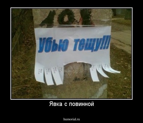Явка с повинной