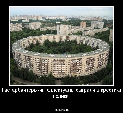 Гастарбайтеры-интеллектуалы сыграли в крестики нолики 