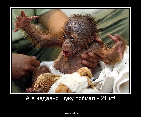 А я недавно щуку поймал - 21 кг!
