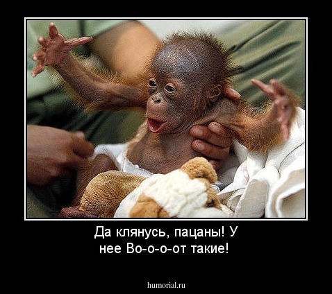 Да клянусь, пацаны! У нее Во-о-о-от такие!