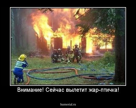 Внимание! Сейчас вылетит жар-птичка!