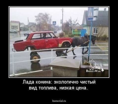 Лада конина: экологично чистый вид топлива, низкая цена.