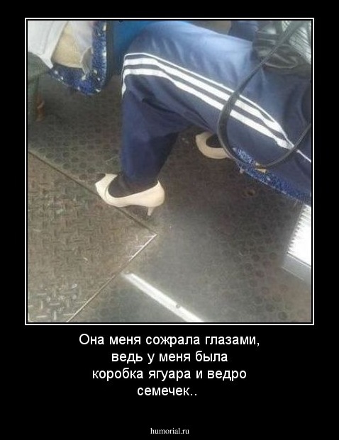 Она меня сожрала глазами, ведь у меня была коробка ягуара и ведро семечек..
