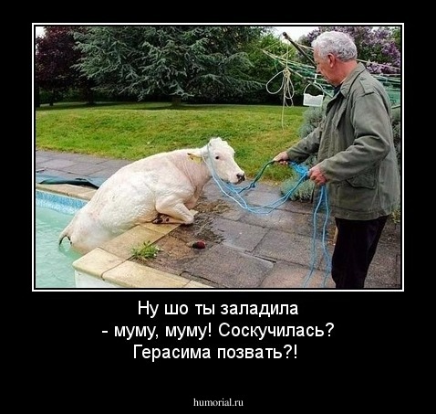 Ну шо ты заладила - муму, муму! Соскучилась? Герасима позвать?!