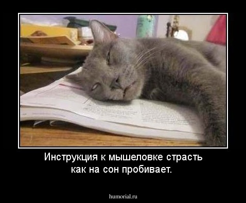 Инструкция к мышеловке страсть как на сон пробивает.