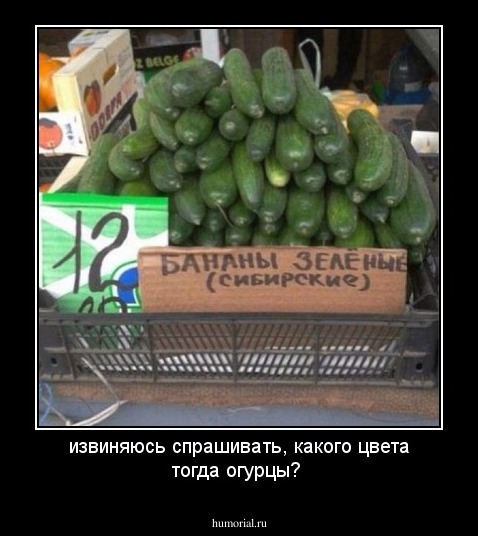 извиняюсь спрашивать, какого цвета тогда огурцы?