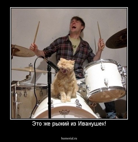 Это же рыжий из Иванушек!