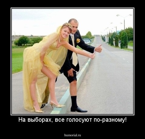 На выборах, все голосуют по-разному!