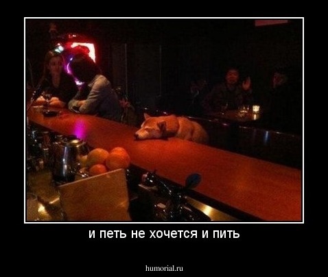и петь не хочется и пить