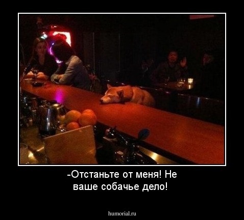 -Отстаньте от меня! Не ваше собачье дело!