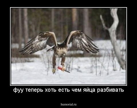 фуу теперь хоть есть чем яйца разбивать
