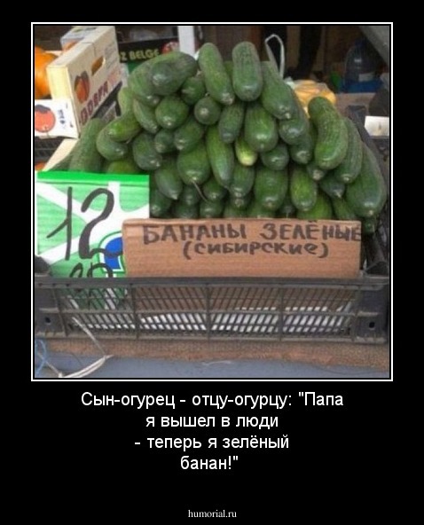 Сын-огурец - отцу-огурцу: "Папа я вышел в люди - теперь я зелёный банан!"