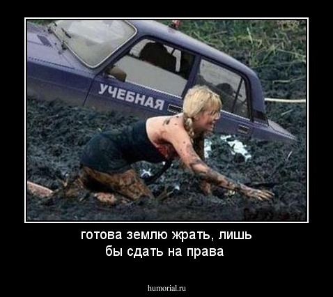 готова землю жрать, лишь бы сдать на права