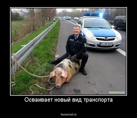 Осваивает новый вид транспорта