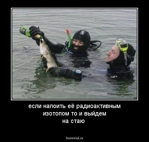 если напоить её радиоактивным изотопом то и выйдем на стаю