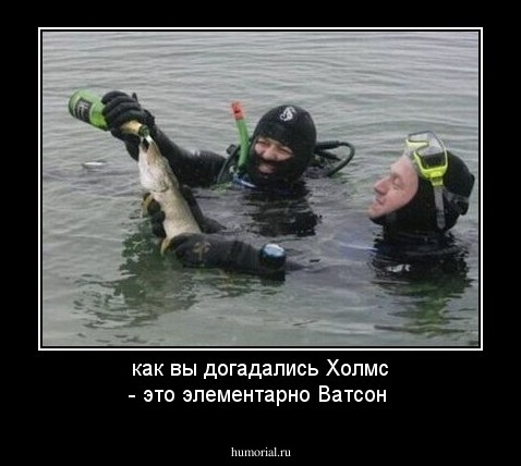 как вы догадались Холмс - это элементарно Ватсон
