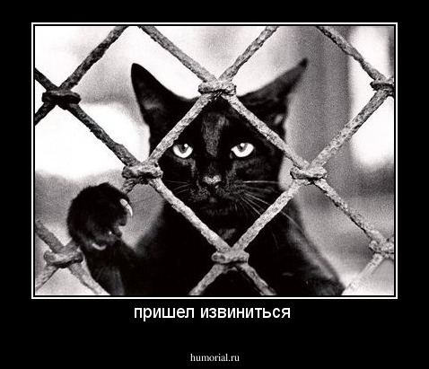 пришел извиниться 