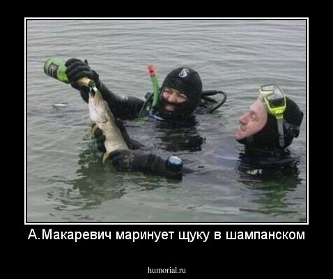 А.Макаревич маринует щуку в шампанском